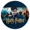 Disque gteau Harry Potter - Saga (19 cm)