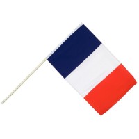 Drapeau France avec Hampe Plastique - 45 cm