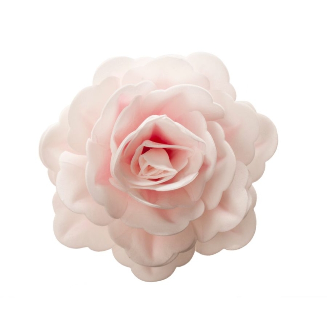 Rose Gante Rose  12, 5 cm - Azyme 