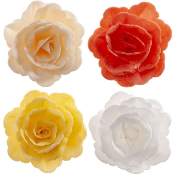 Assortiments de 15 Roses Automne   7 cm - Azyme 