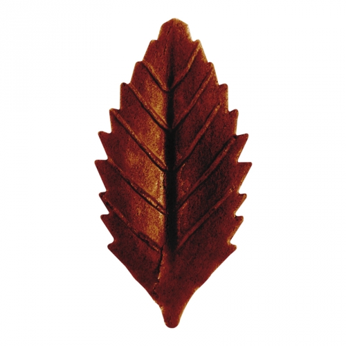 10 Feuilles D Automne Marron 4 Cm Azyme Pour L Anniversaire De Votre Enfant Annikids