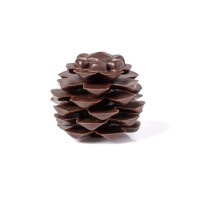 1 Pomme de Pin (2,8 cm) - Chocolat Noir