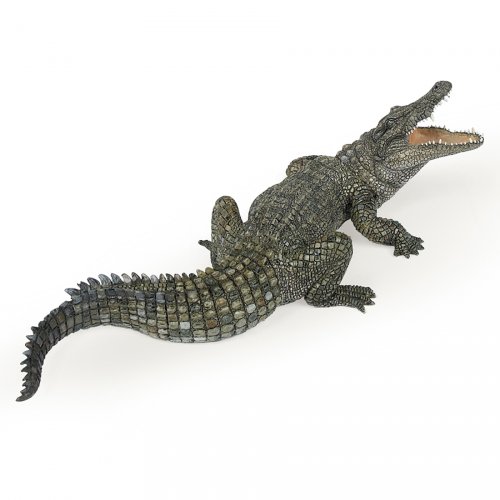 Figurine Crocodile Du Nil Pour L Anniversaire De Votre Enfant Annikids