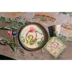 10 Assiettes Aventurier. n1