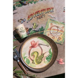 10 Assiettes Aventurier. n2