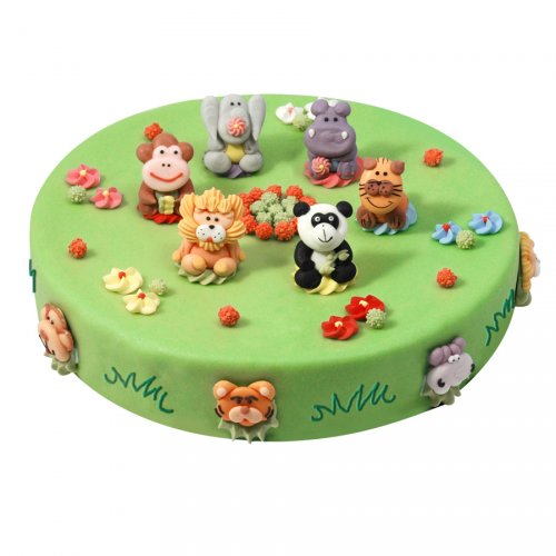 Gateau Jungle O 22 Cm 8 10 Parts Pour L Anniversaire De Votre Enfant Annikids