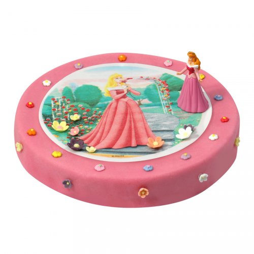 Gateau Princesse Aurore O 28 Cm 12 14 Parts Pour L Anniversaire De Votre Enfant Annikids